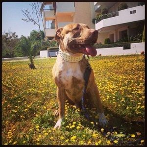 Meet your Posher, Martita